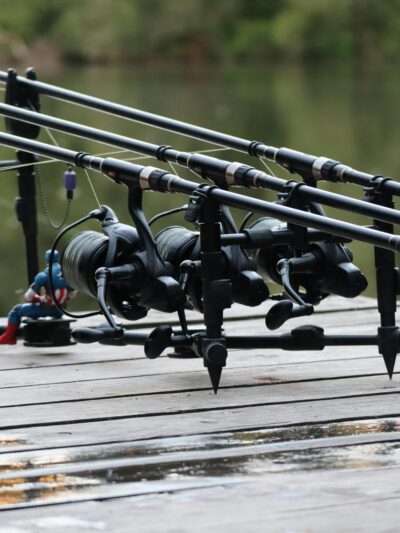 Carp & Barbell