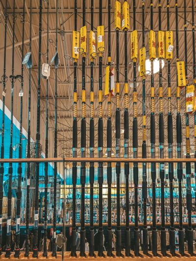 Fishing Tackle Shop Offers