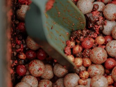 Carp fishing baits & hookbaits, barbel fishing baits & hookbaits