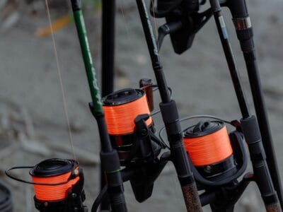 Carp fishing rods for sale