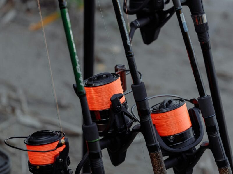 Carp fishing rods for sale