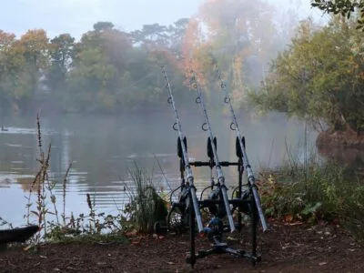 Carp fishing rod pod