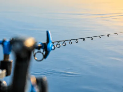 Feeder fishing rod