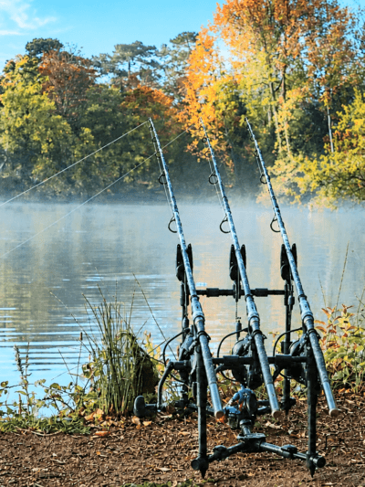 Carp And Barbel