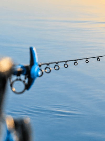 Feeder Fishing