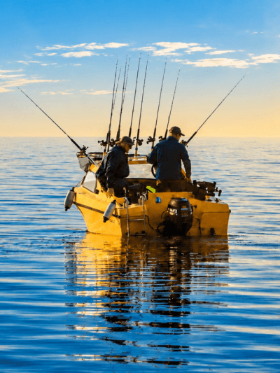 Sea Fishing