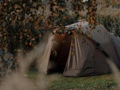 Carp fishing bivvies and shelters for sale